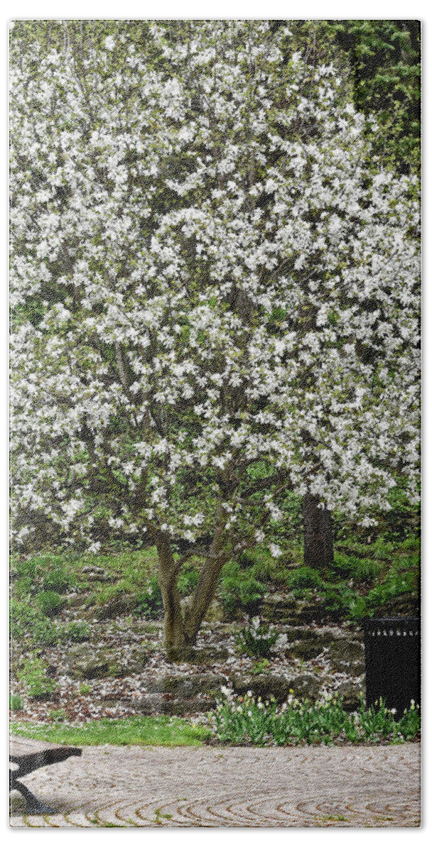 Tree Bath Towel featuring the photograph Spring Beauty in the Park by Maria Keady