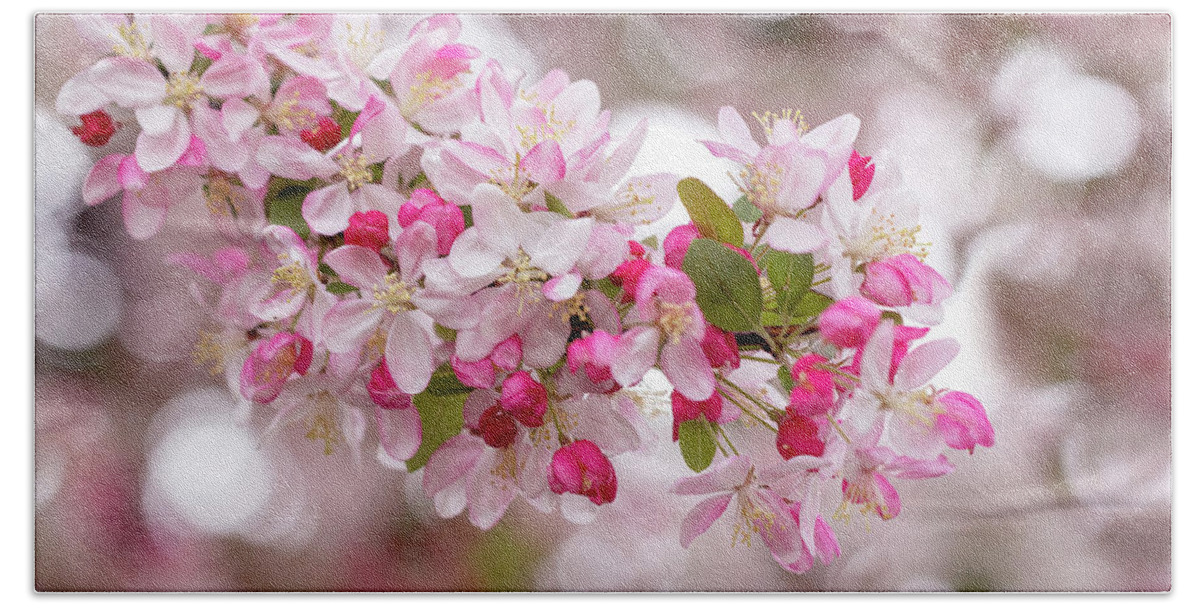 Spring Bath Towel featuring the photograph Cherry Blossom Spring at Dougherty by Vanessa Thomas