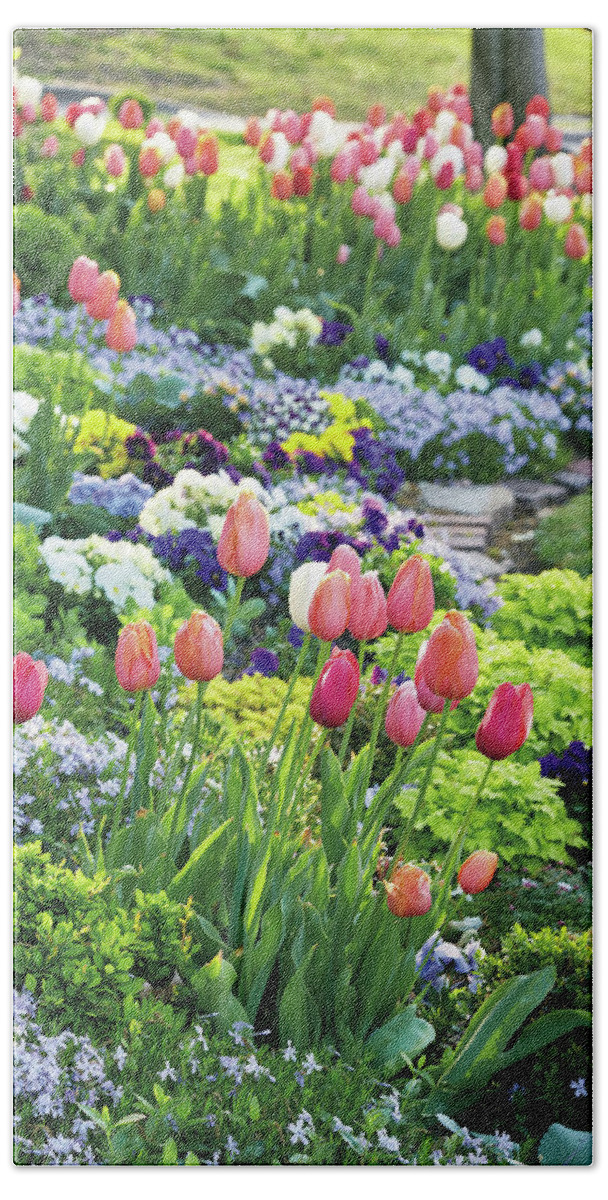 Flowers Bath Towel featuring the photograph Spring Tulips by Garden Gate magazine