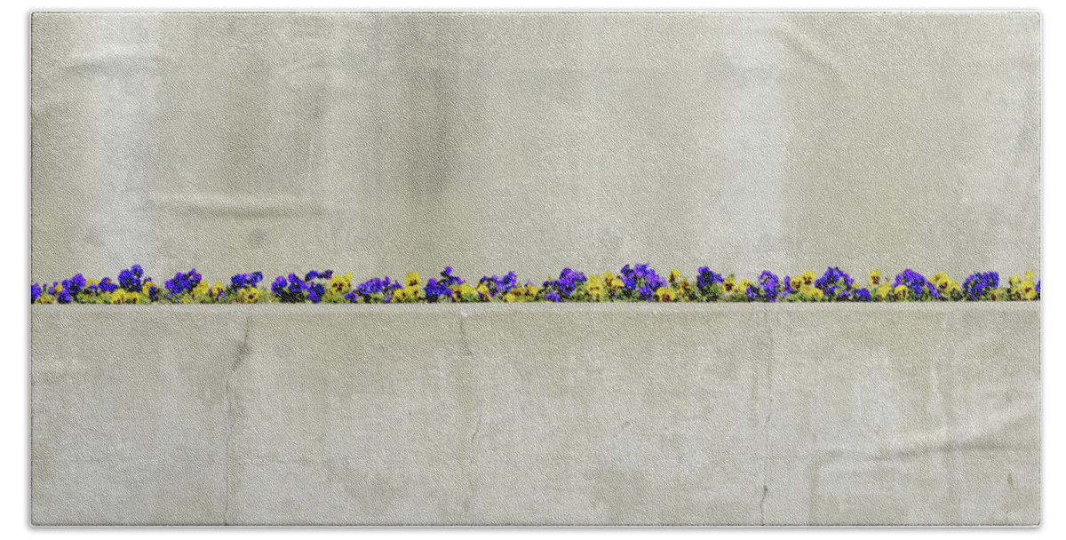 Urban Hand Towel featuring the photograph Springtime Minimal by Stuart Allen