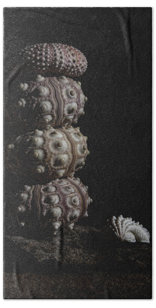Still Life Bath Sheet featuring the photograph Stacked Urchins by Richard Rizzo