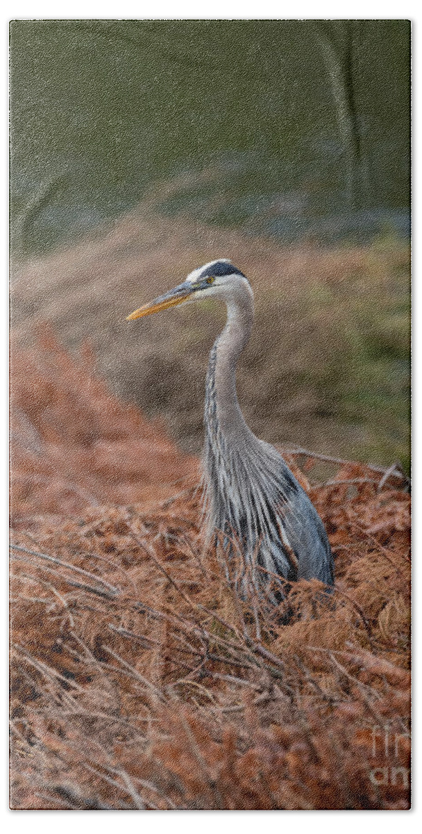 Photography Hand Towel featuring the photograph Standing Tall Heron by Alma Danison