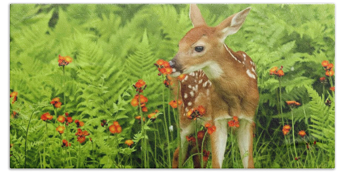 Deer Bath Towel featuring the photograph Stop and Eat the Flowers by Roslynn Long