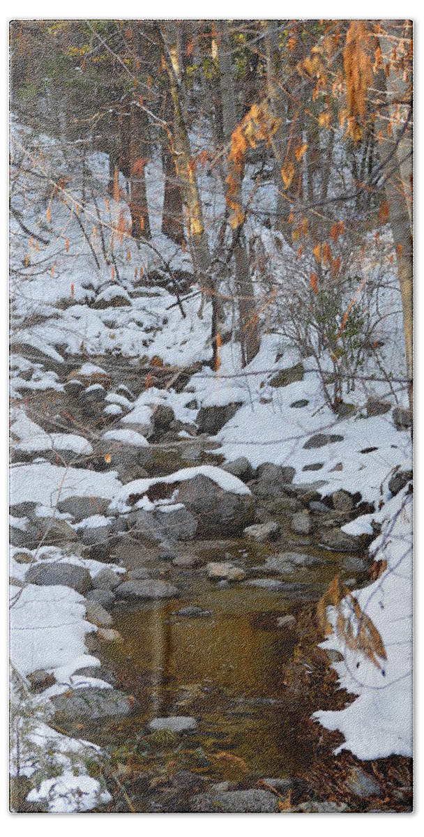 Idyllwild Bath Towel featuring the photograph Strawberry Creek In Winter - Idyllwild by Glenn McCarthy Art and Photography