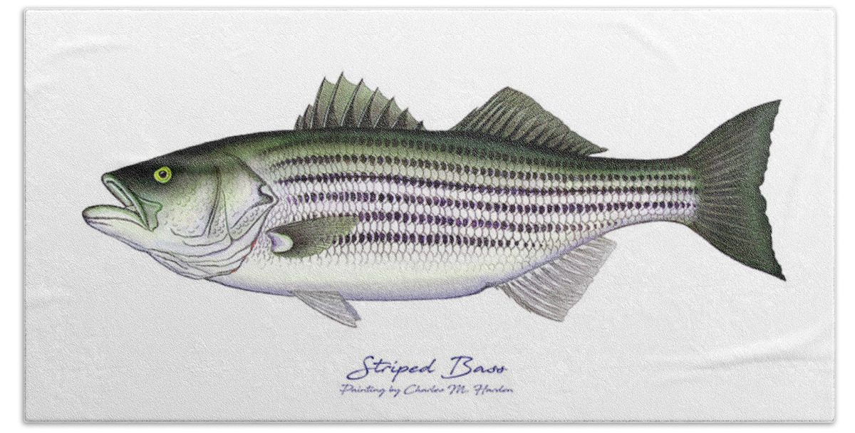 Striped Bass Art Hand Towel featuring the painting Striped Bass by Charles Harden