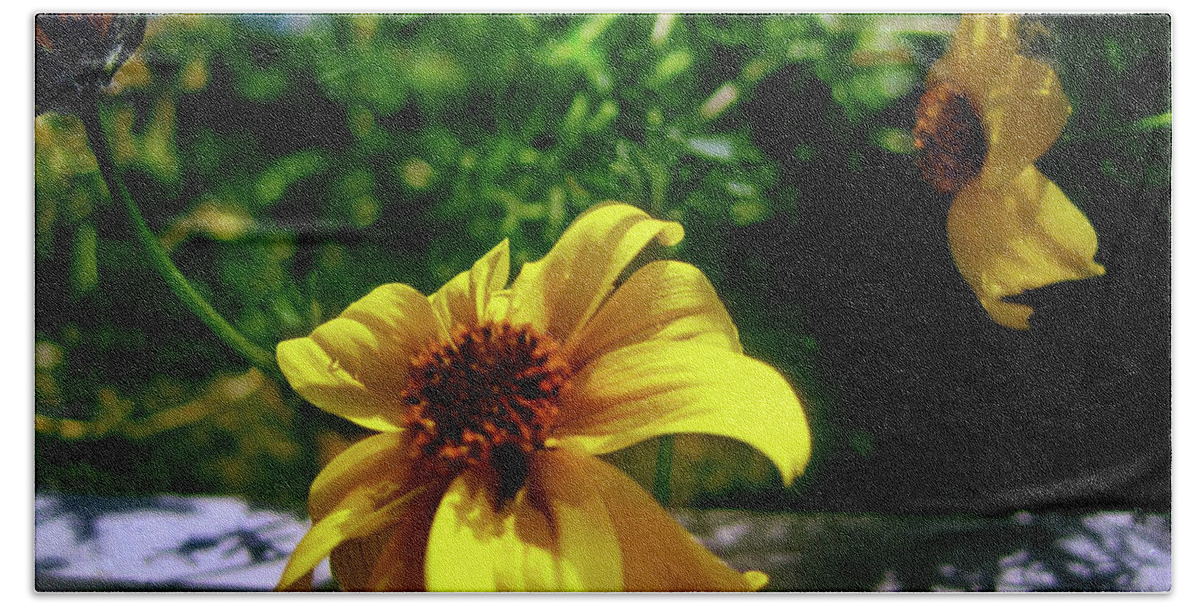 Yellow Flowers Bath Towel featuring the photograph Summer Balcony Garden Flowers 1 by Jaeda DeWalt