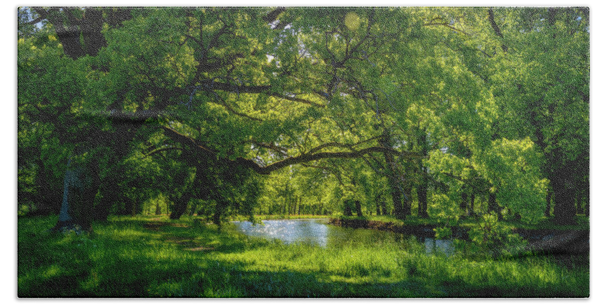 Panorama Bath Towel featuring the photograph Summer Morning in the Park by Nicklas Gustafsson