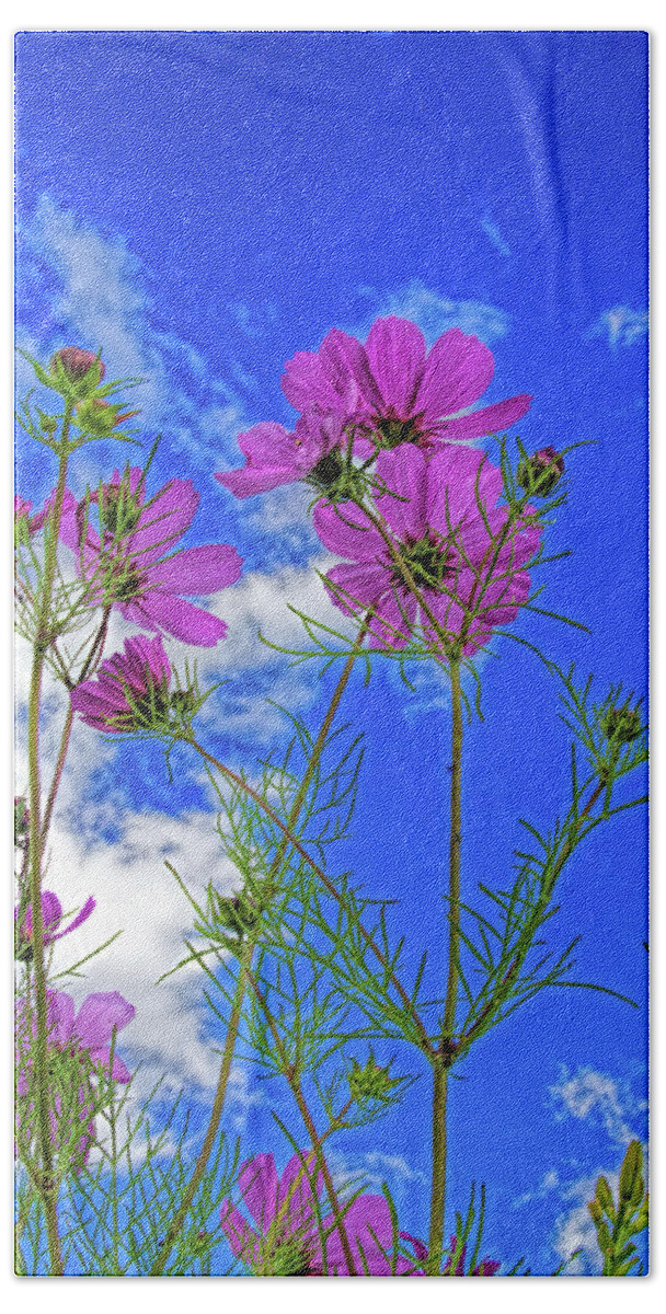 Flowers Bath Towel featuring the photograph Summer Sky by Alana Thrower