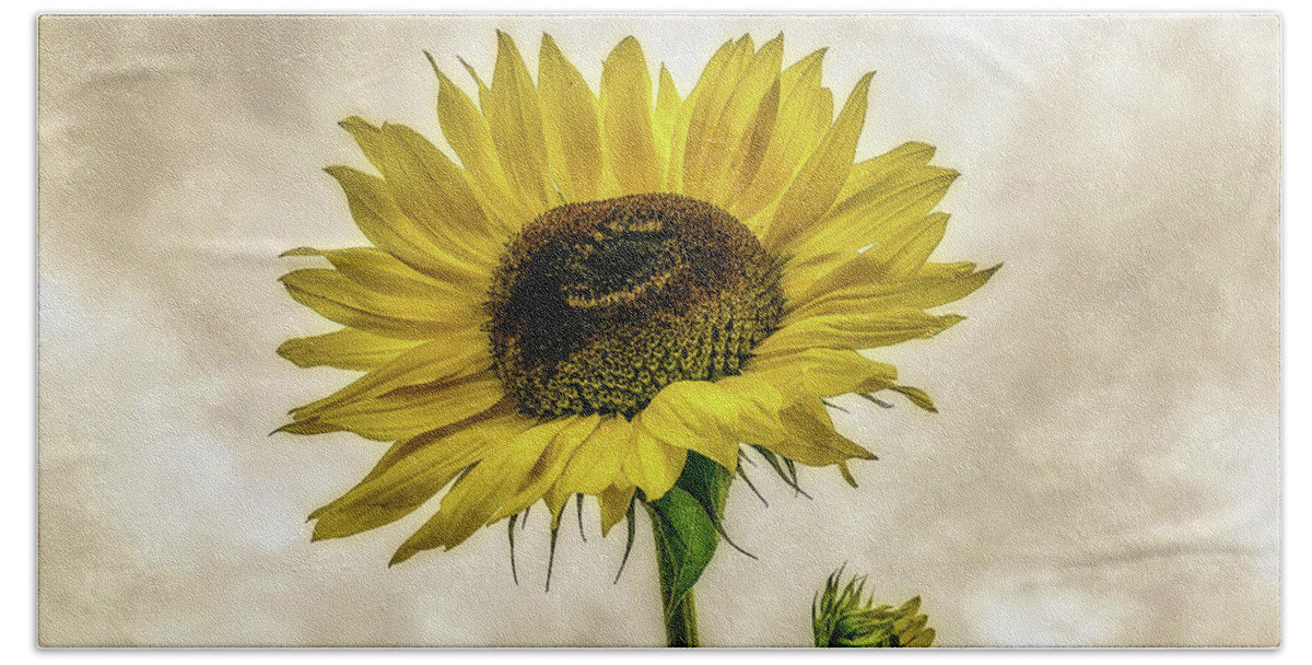 Sunflower Bath Towel featuring the photograph Sunflower by Anamar Pictures