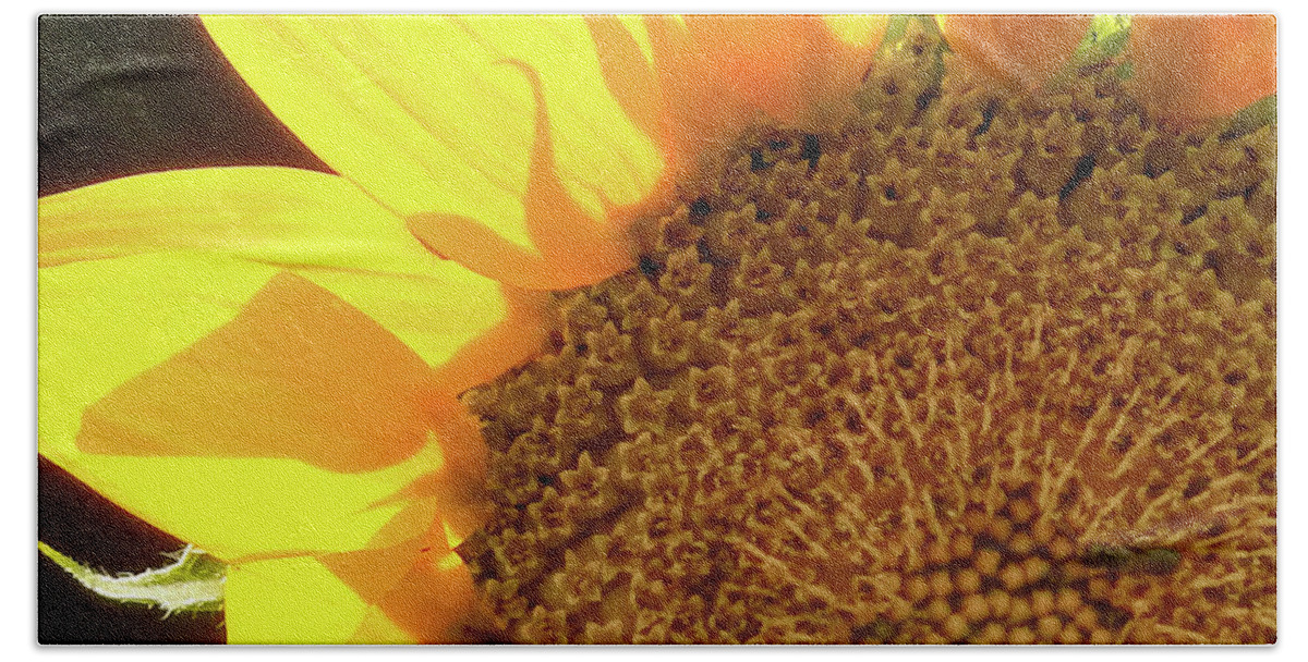 Sunflower Hand Towel featuring the photograph Sunflower by Michael Frank