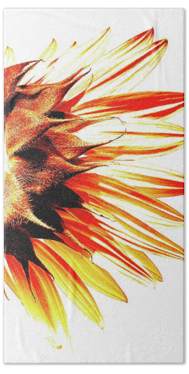 Sunflower Hand Towel featuring the photograph Sunflower Spotlight - On Fire by Simply Summery