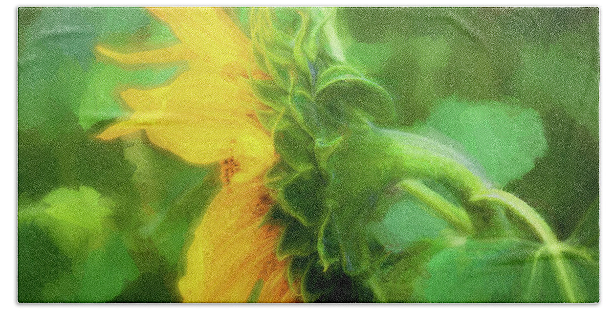 Sunflower Bath Towel featuring the photograph Sunflowers Helianthus 144 by Rich Franco