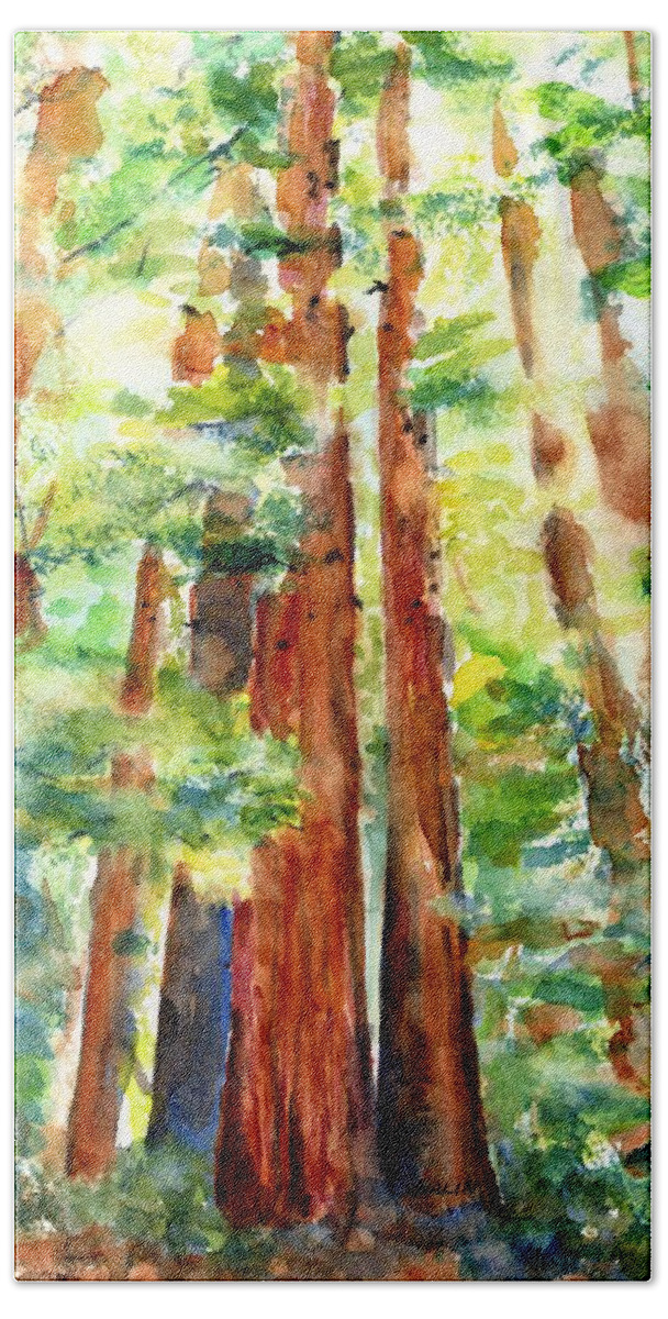 Redwoods Hand Towel featuring the painting Sunlight through Redwood Trees by Carlin Blahnik CarlinArtWatercolor