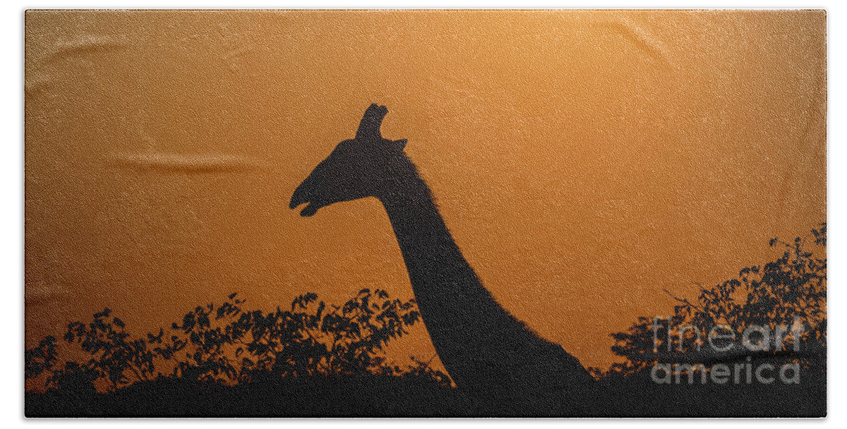 Giraffe Hand Towel featuring the photograph Sunrise over the Etosha National Park, Namibia by Lyl Dil Creations