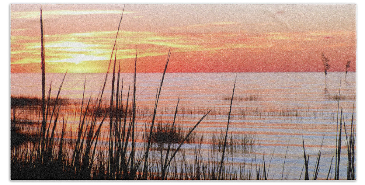 Cape Cod Bath Towel featuring the photograph Sunset Through the Reeds by Sharon Williams Eng
