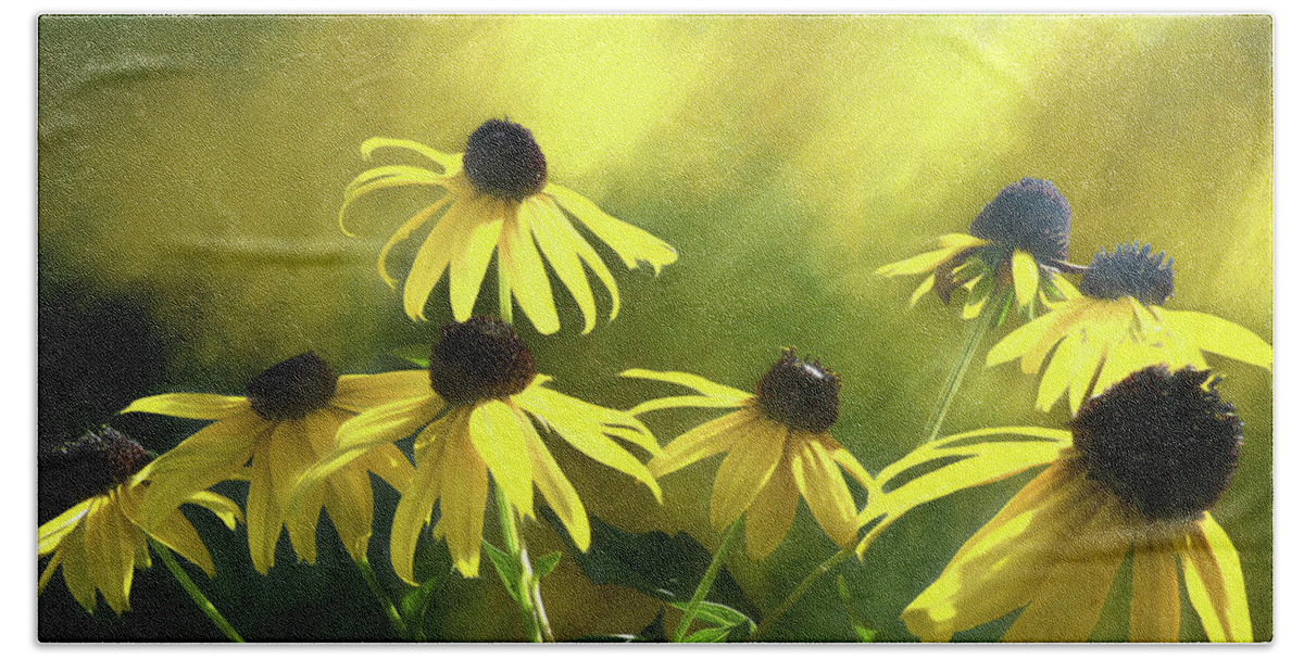 Black Eyed Susan Bath Towel featuring the photograph Sunshine On Black Eyed Susan by Leslie Montgomery
