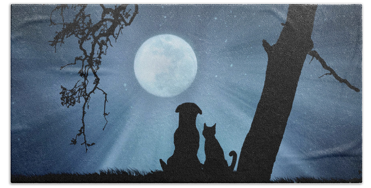 Kid's Room Hand Towel featuring the photograph Super Cute Cat and Dog Watching the Moon by Stephanie Laird