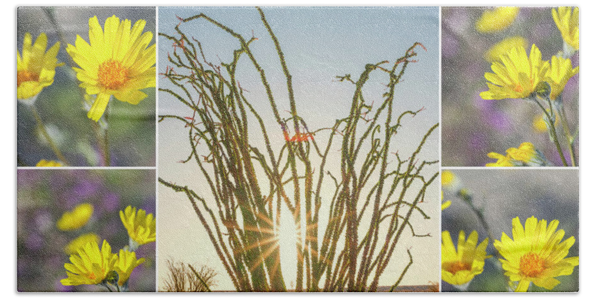 Ocotillo Plant Hand Towel featuring the photograph Surrounded At Sunrise #2 by Joseph S Giacalone