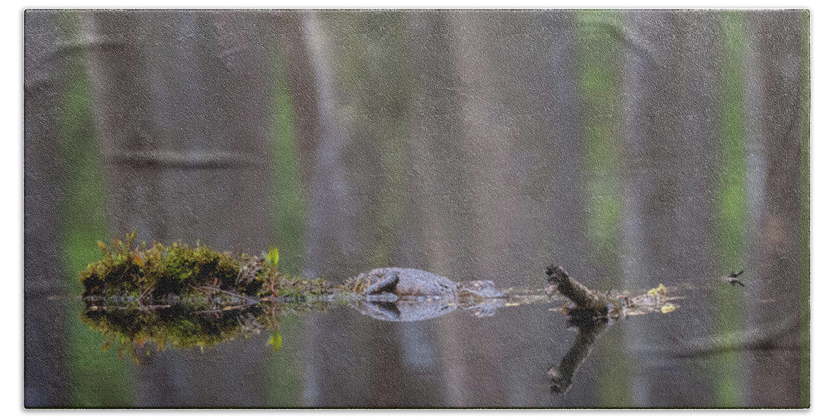 Alligator Hand Towel featuring the photograph Swamp Dreams by Susan Rissi Tregoning