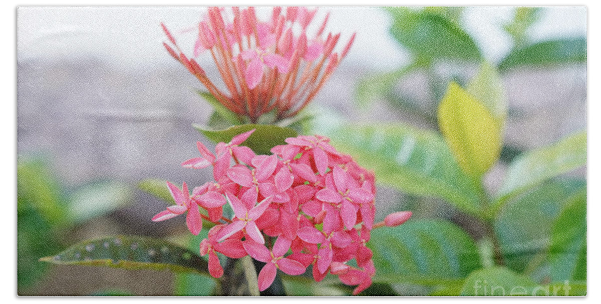 Tropical Bath Towel featuring the photograph Sweet Ixora by Christine Chin-Fook