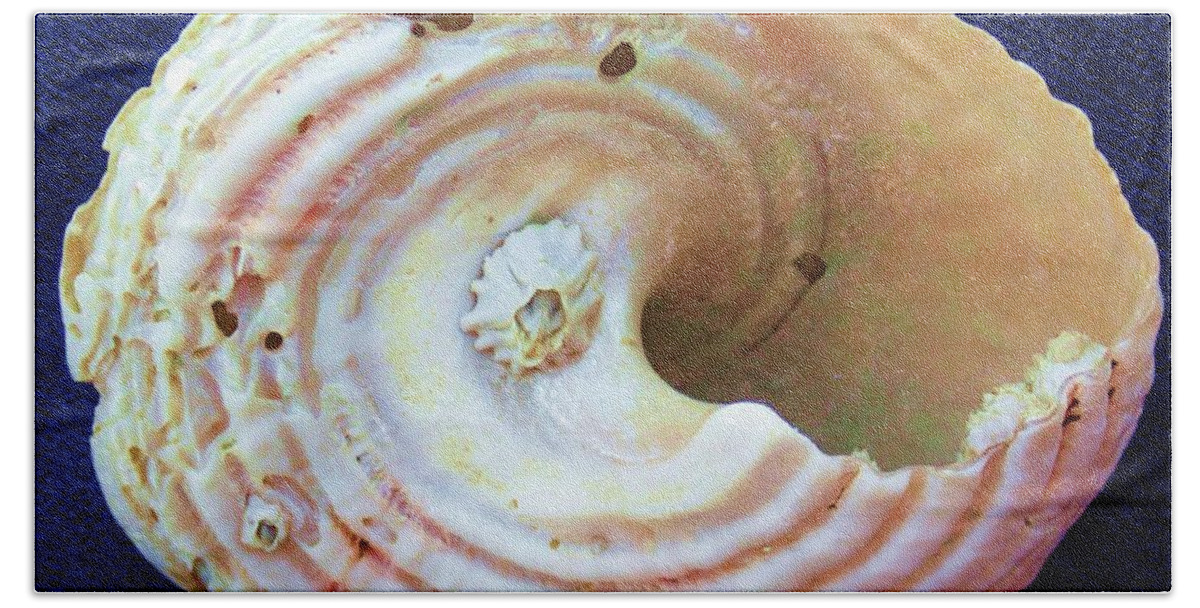Shell Bath Towel featuring the photograph Swirl by Fred Bailey