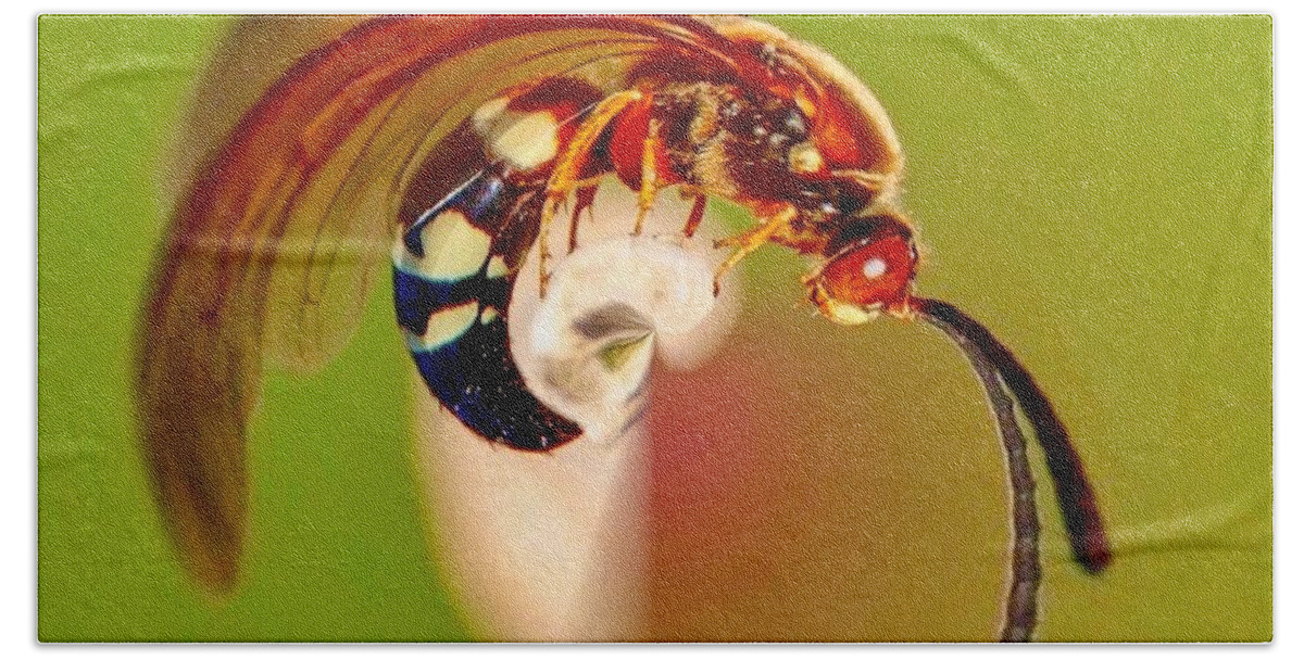 Wasp Bath Towel featuring the digital art Swirly Wasp by Susan Rydberg