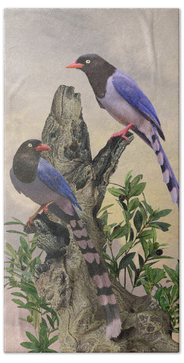 Birds Bath Towel featuring the digital art Taiwan Blue Magpies by M Spadecaller