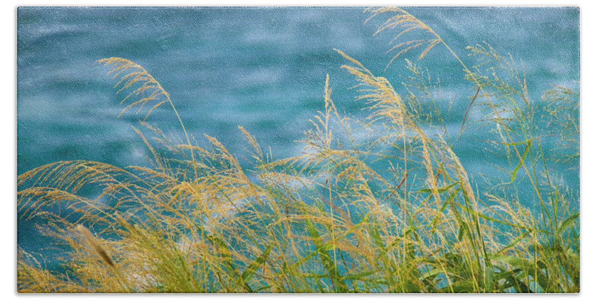 Ocean Bath Towel featuring the photograph Tall Grass Against a Blue Ocean by Christopher Johnson