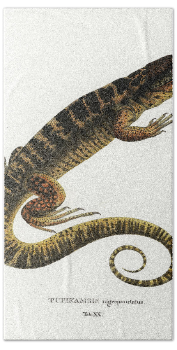 Lizards Bath Towel featuring the drawing Tegu by Philippe Schmid
