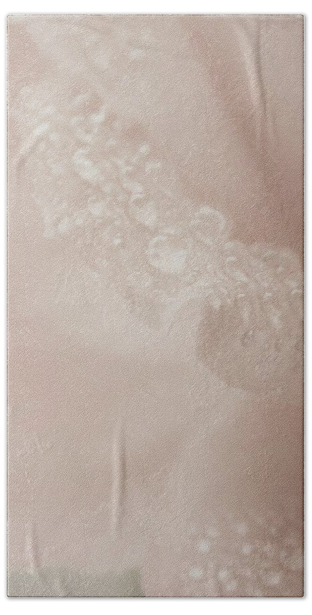 #wetroses #wateredroses #roses #softroseart #roseart #wateronroses #loveforroses #marilynsroses #singleroses #theartofmarilynridouttgreene Bath Towel featuring the photograph Tenderly Watered Rose by The Art Of Marilyn Ridoutt-Greene