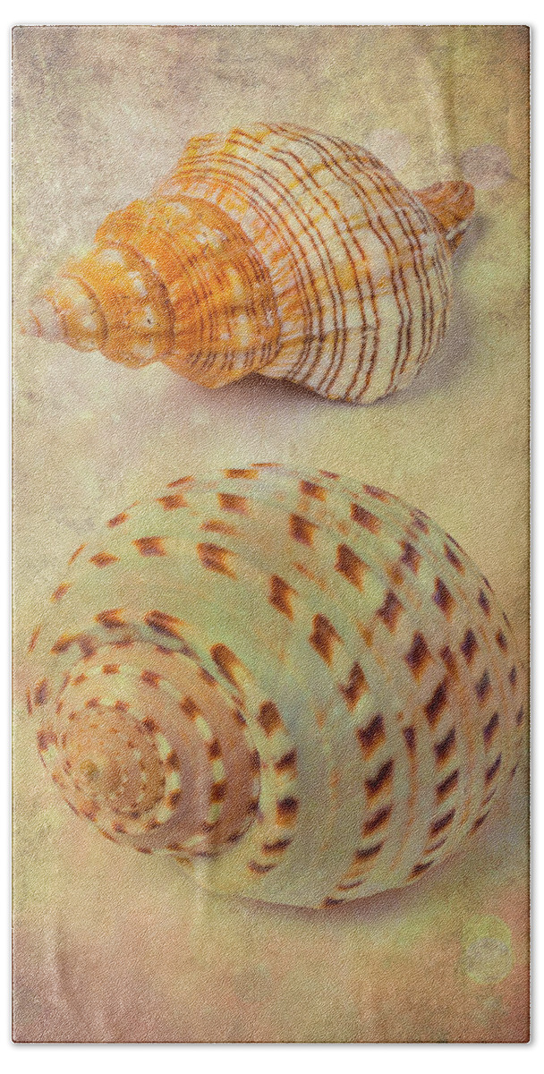 White Bath Towel featuring the photograph Textured Marine Shells Abstract by Garry Gay