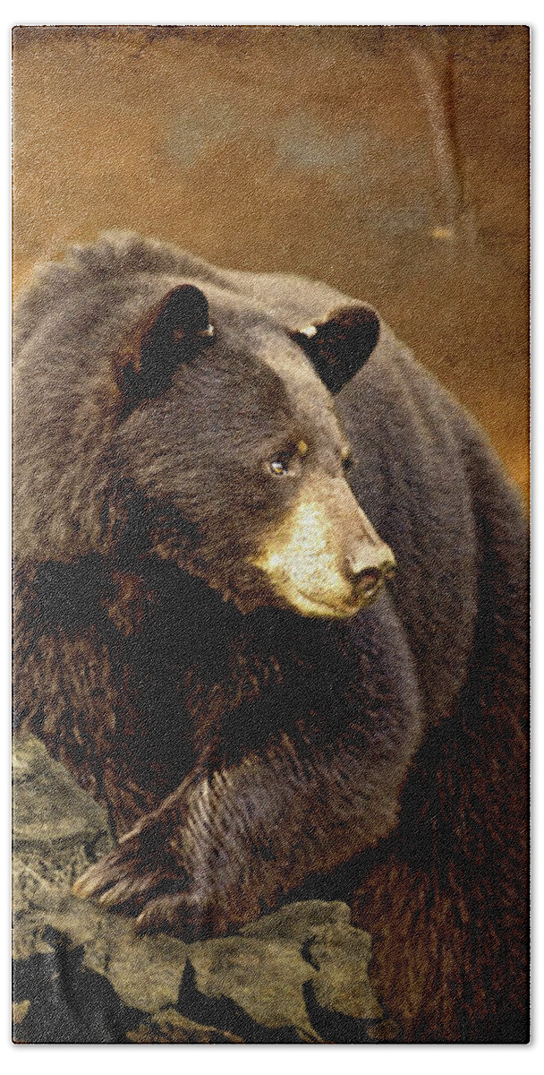 Bear Bath Towel featuring the photograph The Bear Went Over The Mountain by Lois Bryan
