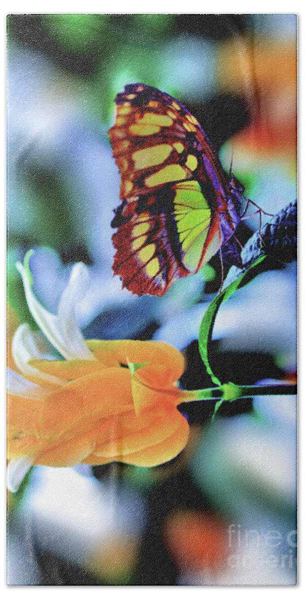 Butterfly Hand Towel featuring the photograph The Charm of a Butterfly by Elaine Manley