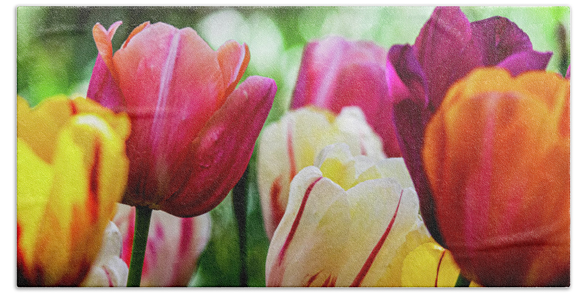 Tulips Hand Towel featuring the photograph The Colors of Spring by Mary Ann Artz