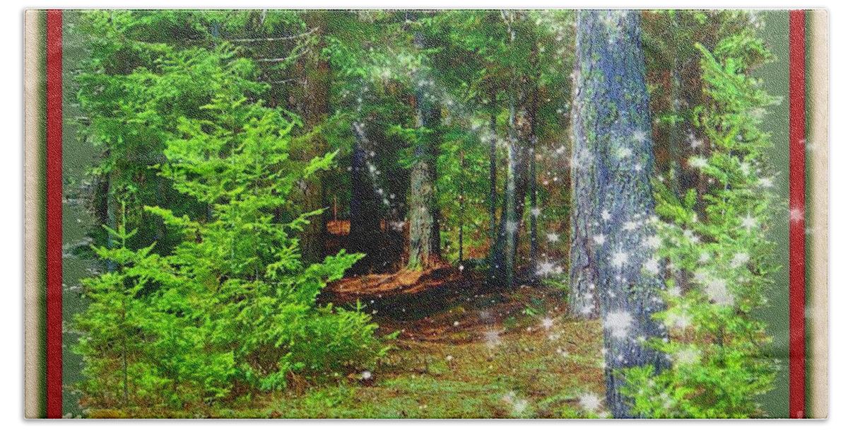 Woods Hand Towel featuring the photograph The Enchanted Forest by Shirley Moravec
