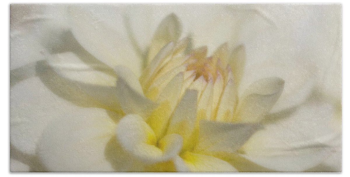 Oregon Bath Towel featuring the photograph The Essence of a Dahlia by TL Wilson Photography by Teresa Wilson
