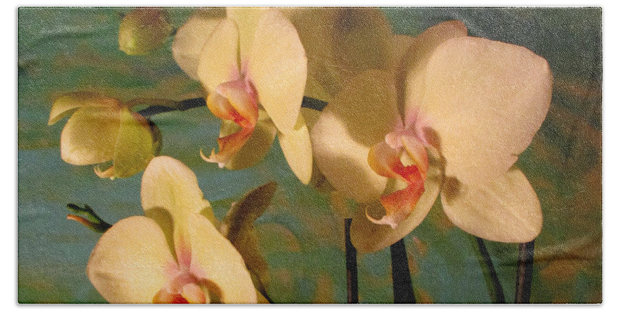 The Gift By A Hillman Orchids Tropical The Gift By A Hillman Pastel Beautiful Pale Pink Joy Rejoicing Celebration Life Happiness Flowers Praise To The King Of Kings And Lord Of Lords Yah Yahweh Yeshua Jesus Messiah Savior Healer Alleluia Hand Towel featuring the photograph The Gift by A Hillman