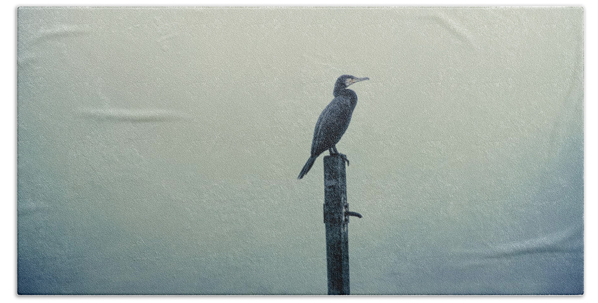 Great-cormorant Hand Towel featuring the photograph The Great Cormorant by Jaroslav Buna
