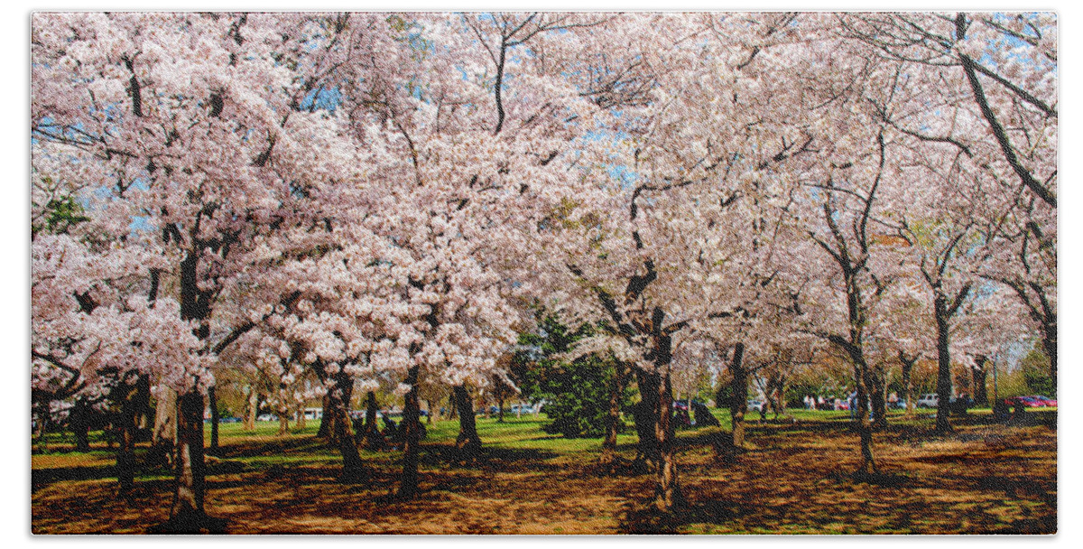 Cherry Blossoms Hand Towel featuring the photograph The Grove by Greg Fortier