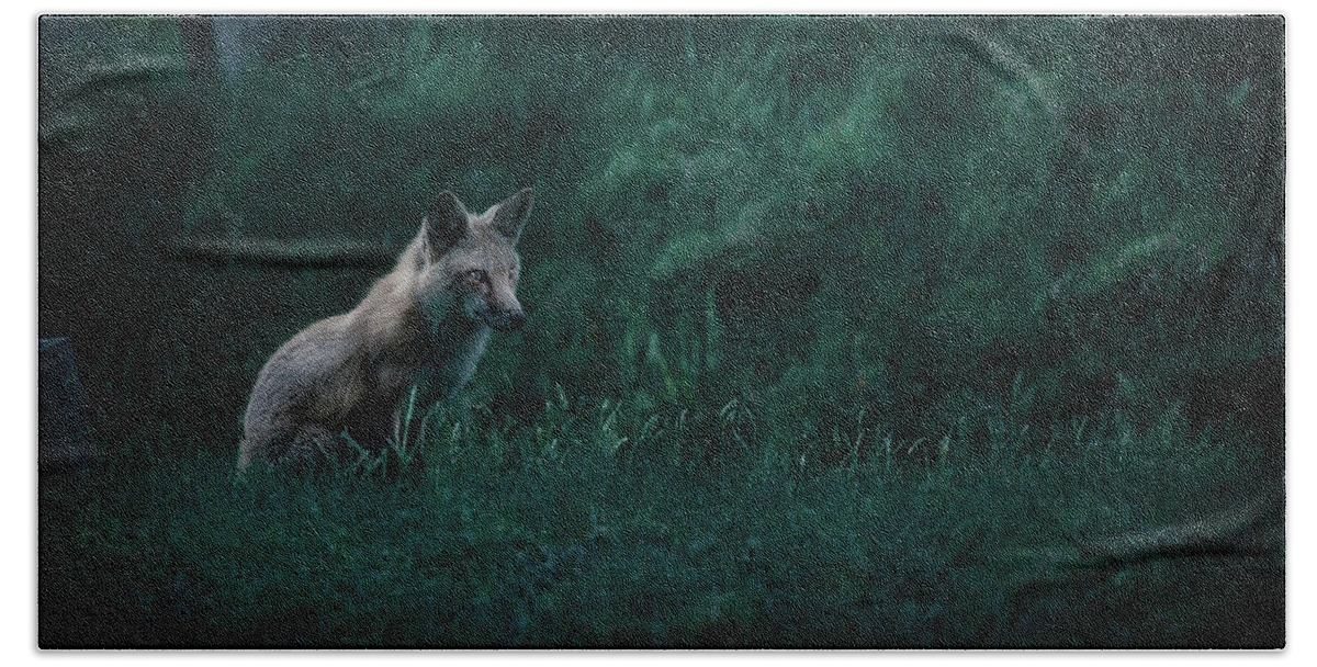 Fox Bath Towel featuring the photograph The Guardian by Guy Coniglio