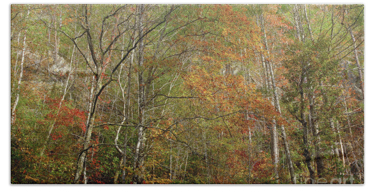 Fall Bath Towel featuring the photograph The Joy Of Autumn by Mike Eingle