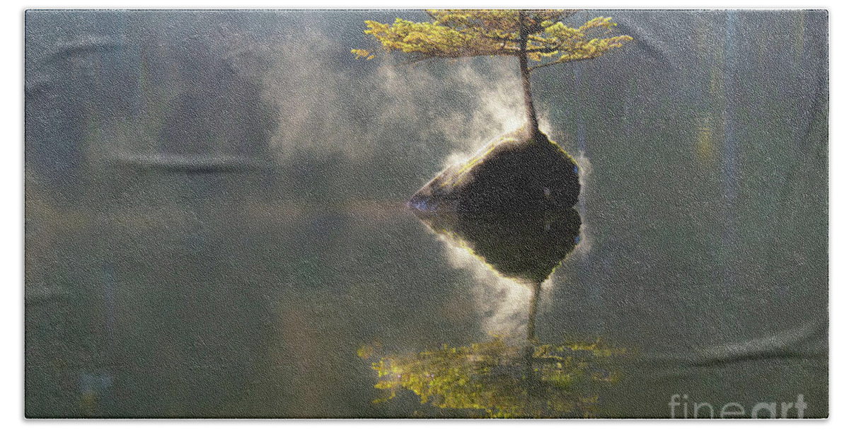 The Little Tree Hand Towel featuring the photograph The Little Tree On Fairy Lake by Bob Christopher