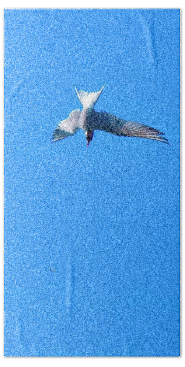 Bird Hand Towel featuring the photograph The One That Got Away by Debra Grace Addison