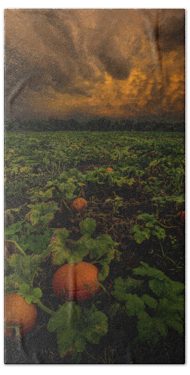Pumpkin Patch Hand Towel featuring the photograph The Patch by Aaron J Groen