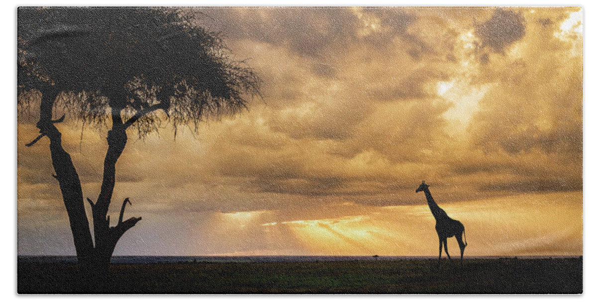 Acacia Tree Hand Towel featuring the photograph The Plains of Africa by Phil And Karen Rispin