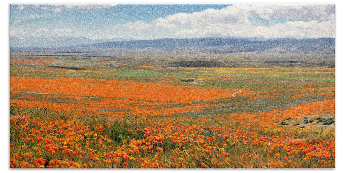  Bath Towel featuring the photograph The Road Through The Poppies 1 by Endre Balogh