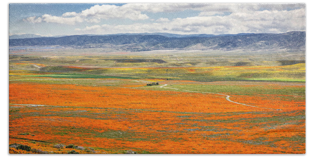 Antelope Valley Poppy Reserve Bath Towel featuring the photograph The Road Through The Poppies 2 by Endre Balogh