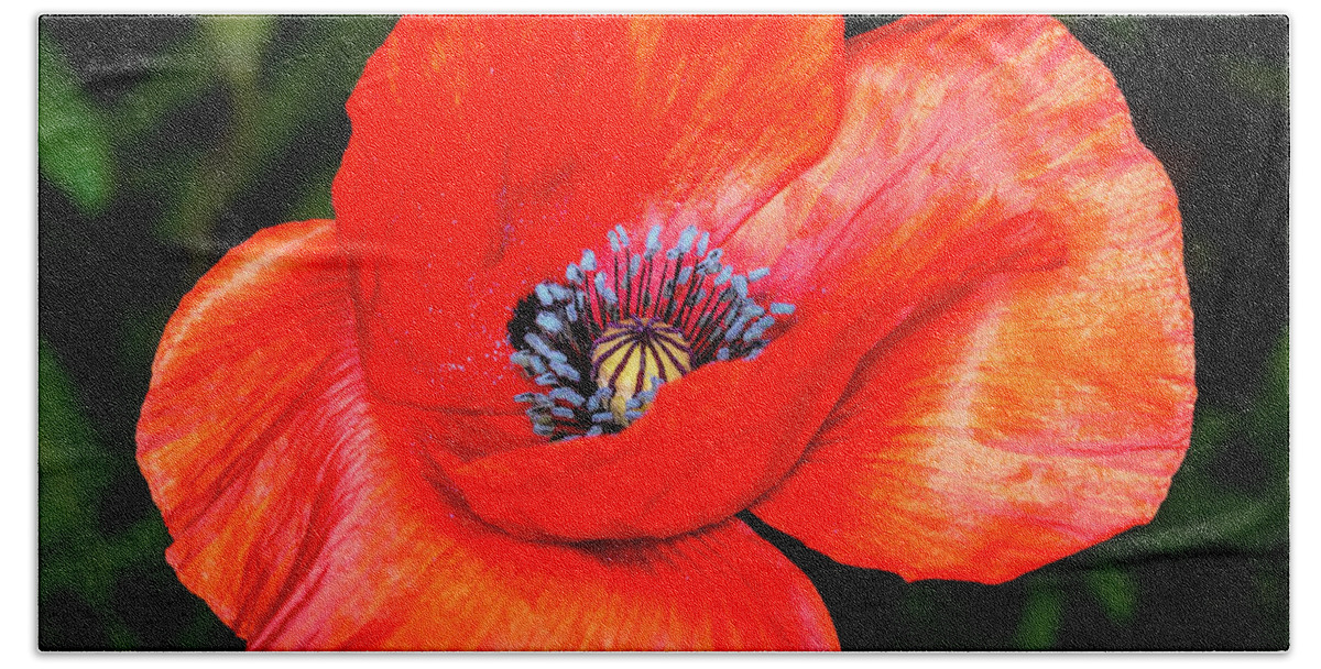 Nature Bath Towel featuring the photograph The Strength of the Poppy Flower by David Morefield