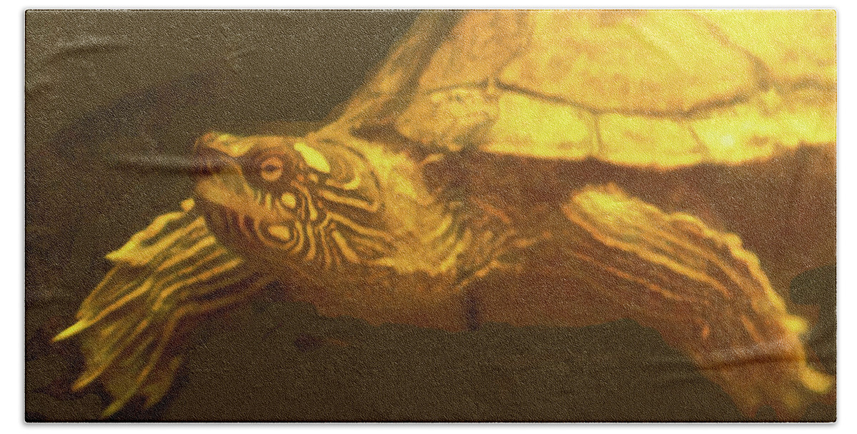 Turtles Bath Towel featuring the photograph The Swimmer by CHAZ Daugherty