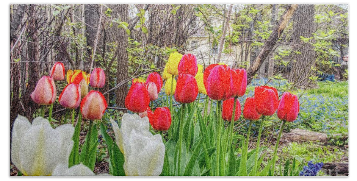 #flowers #tulips #spring #springtime #warm #sunny #photographer #instagood #hdr #highdynamicrange #skylum #aurorahdr2019 #nature #naturephotography #naturephotographer #garden #summer #seasons #picoftheday #imageoftheday #photo #thegreatoutdoors #wanderlust #postoftheday #outdoors #red #yellow Bath Towel featuring the photograph The tulips are out. by Jim Lepard